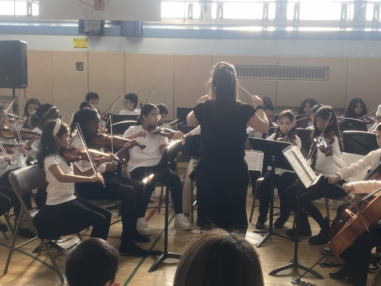 Meadowbrook Orchestra with Ms. Grady