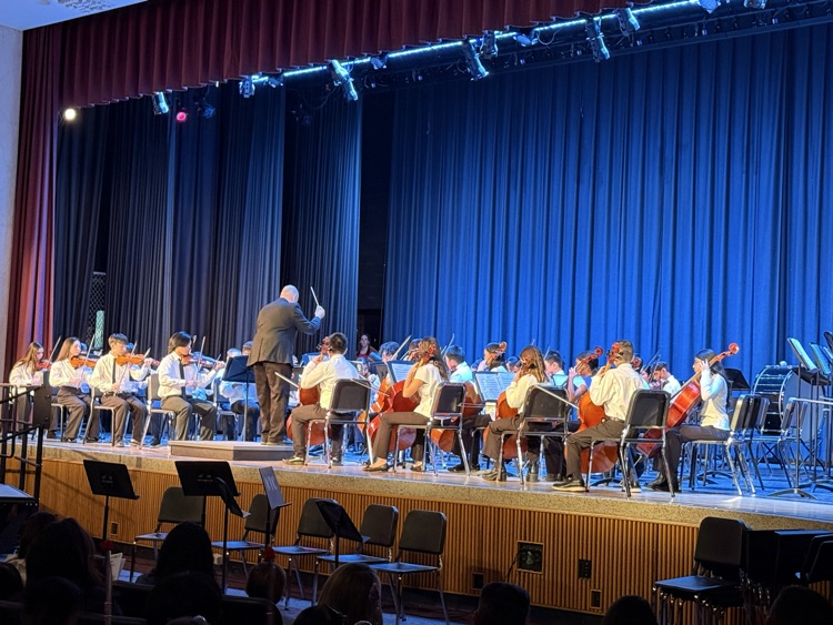  chamber orchestra