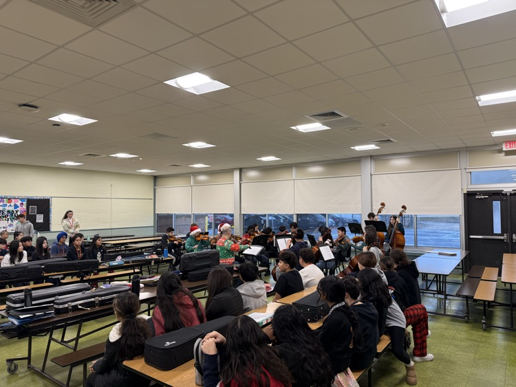 Chamber orchestra delights the audience 