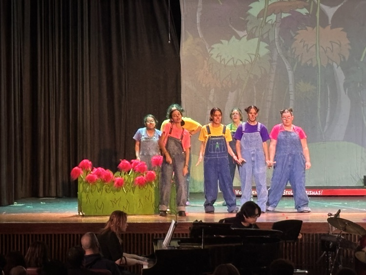 Seussical Jr Drama Production