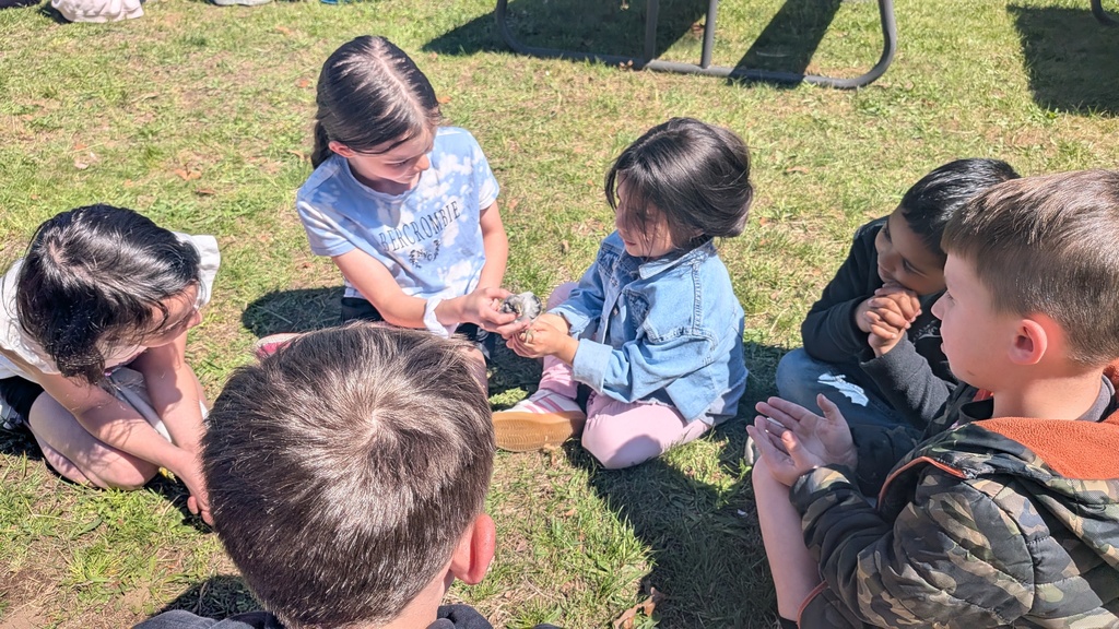 student and chicks