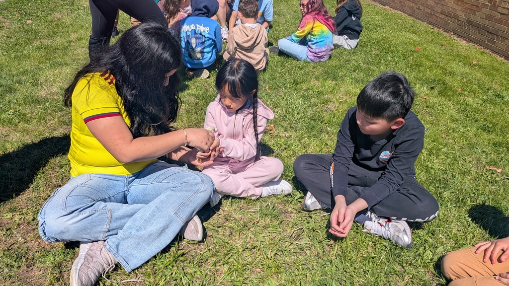 student and chicks