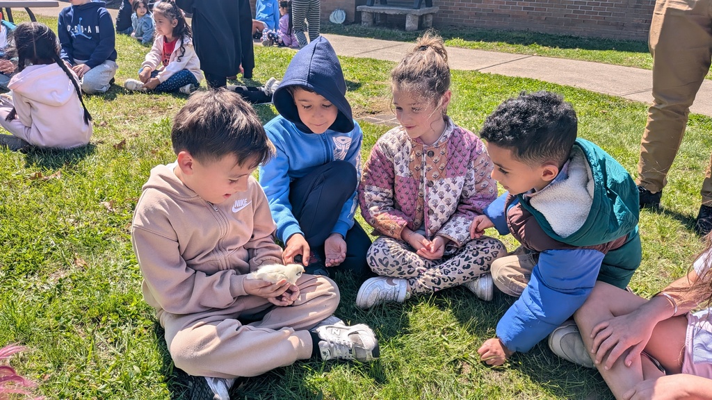 student and chicks