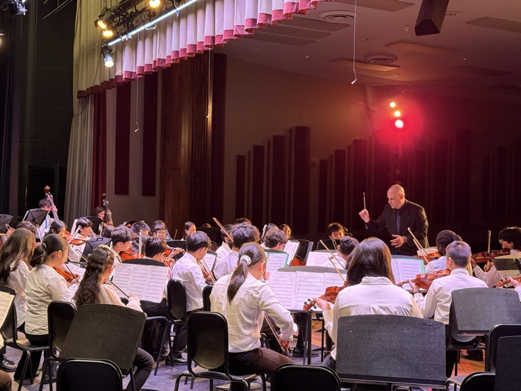 chamber orchestra