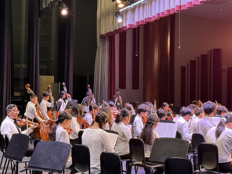 chamber orchestra