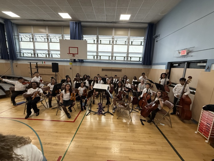 Meadowbrook Orchestra