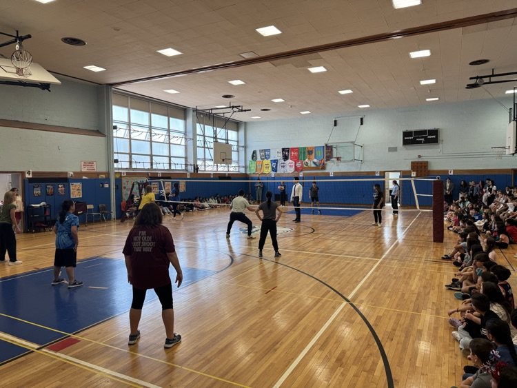 Volleyball