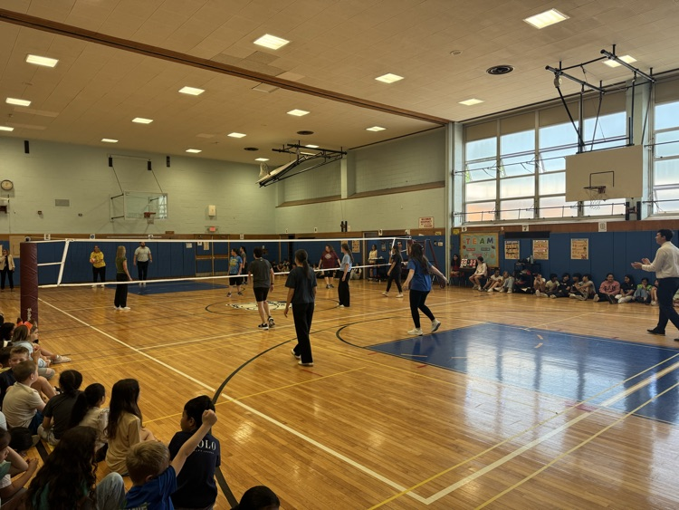 Volleyball