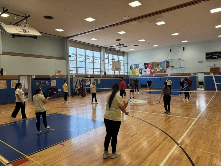 Volleyball