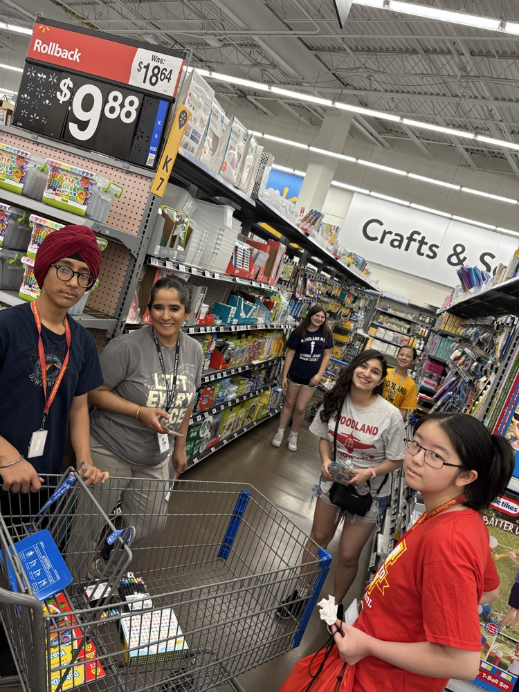 Walmart Trip