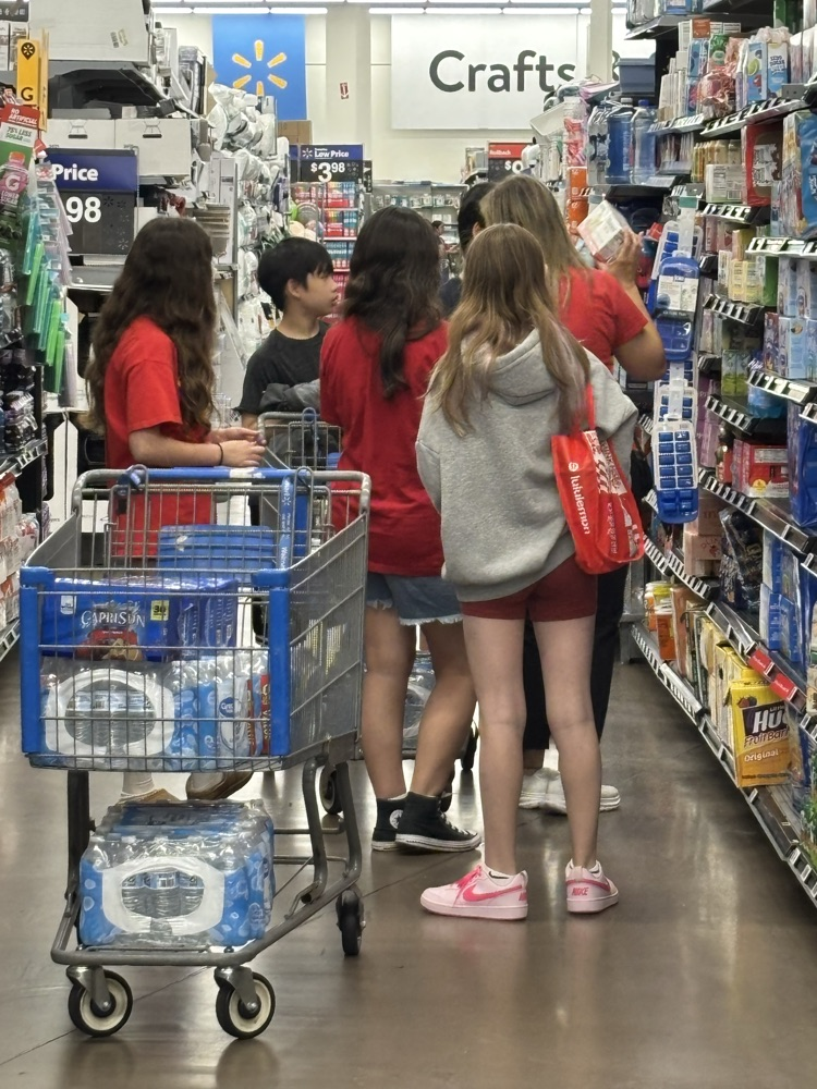 Walmart Trip