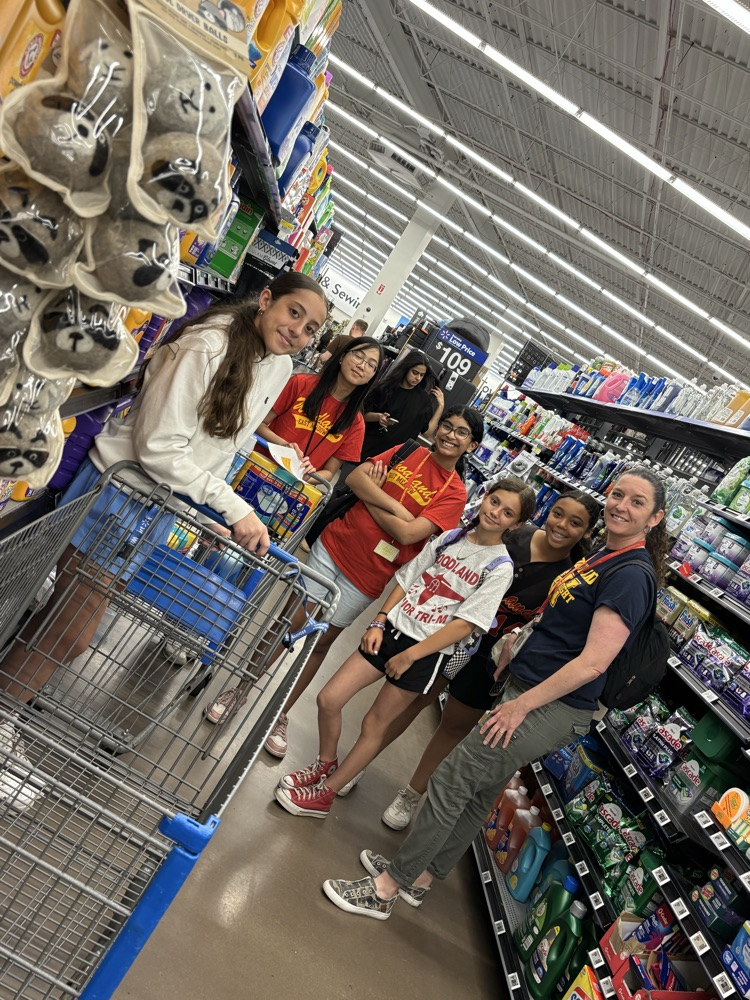 Walmart Trip