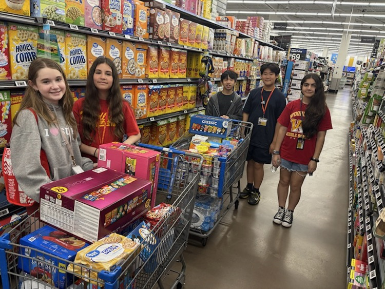Walmart Trip