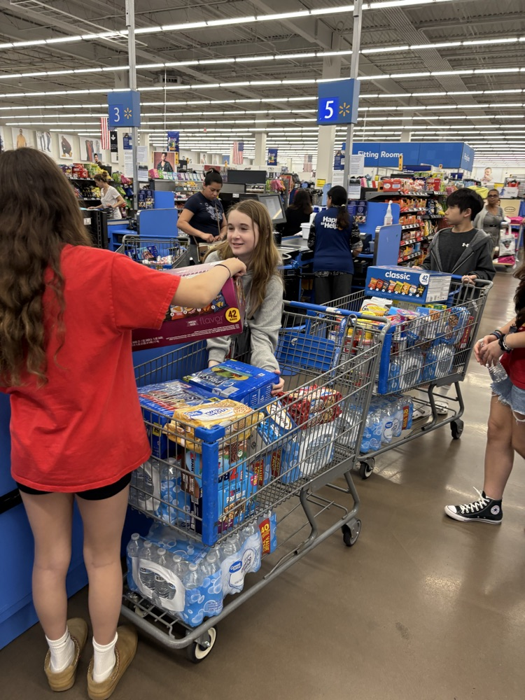 Walmart Trip