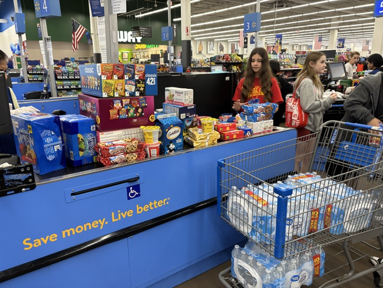 Walmart Trip