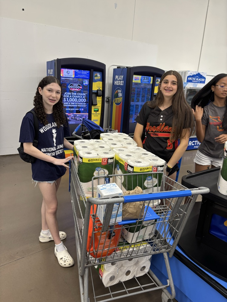 Walmart Trip