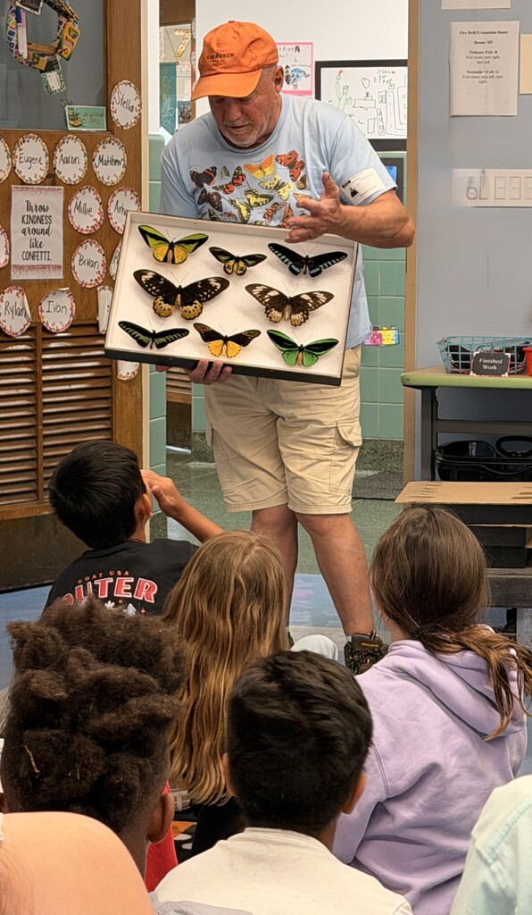 butterfly man