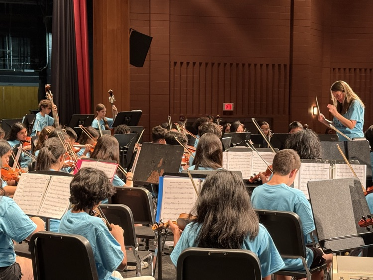 orchestra