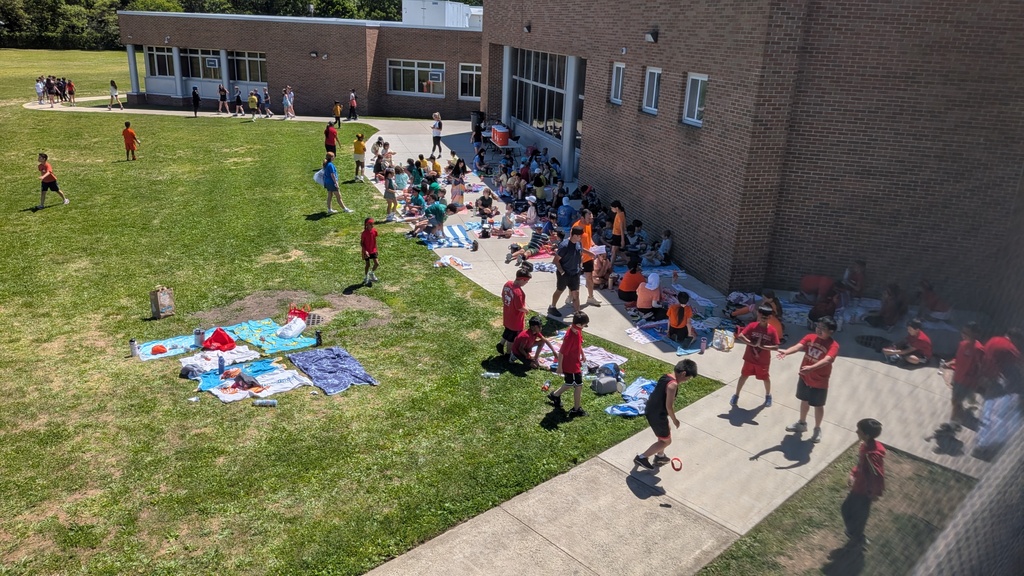 field day