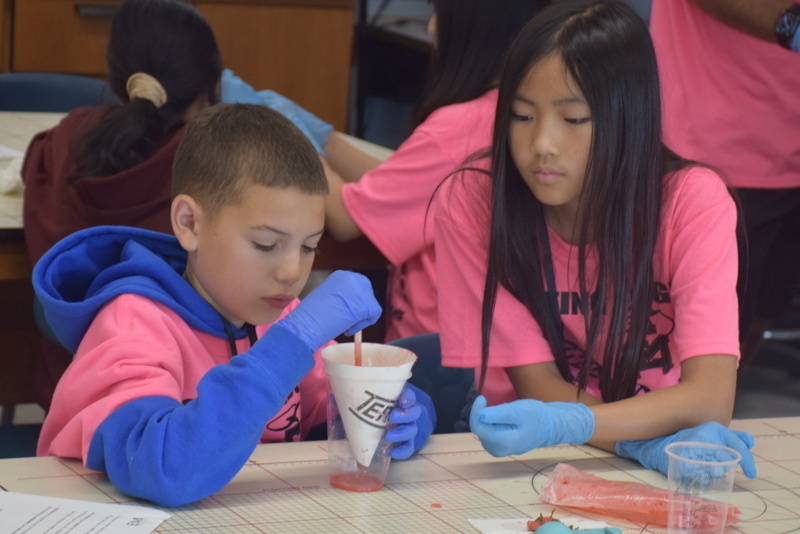 Photo of STEM students wearing pink t-shirts in science lab while working on a group experiment.