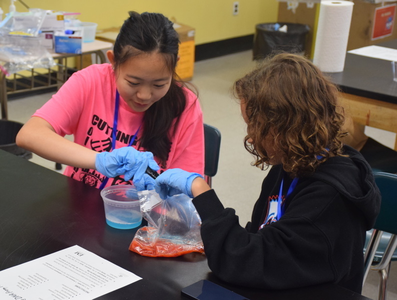 Photo of STEM students wearing pink t-shirts in science lab while working on a group experiment.