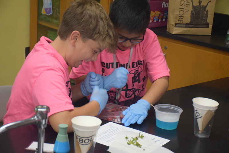 Photo of STEM students wearing pink t-shirts in science lab while working on a group experiment.