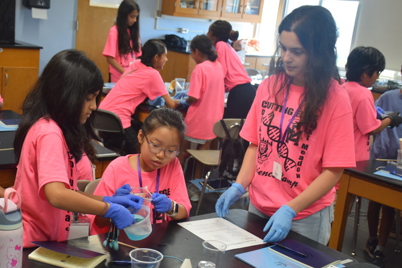 Photo of STEM students wearing pink t-shirts in science lab while working on a group experiment.