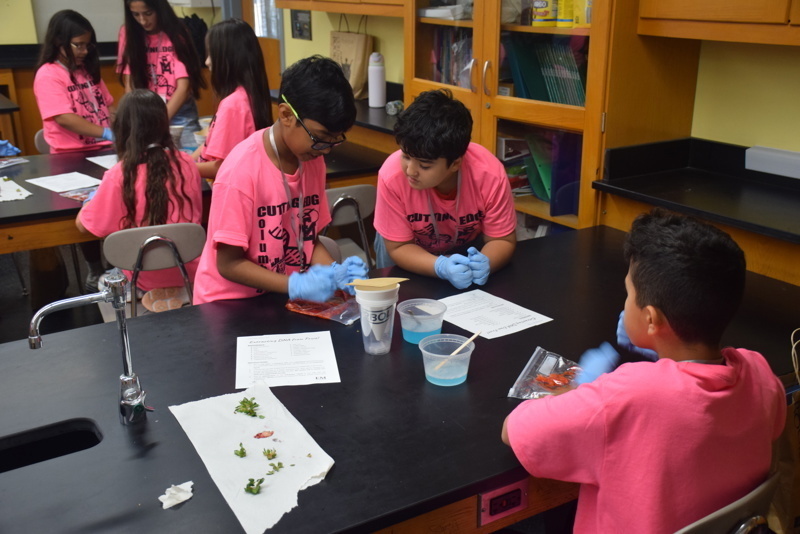 Photo of STEM students wearing pink t-shirts in science lab while working on a group experiment.