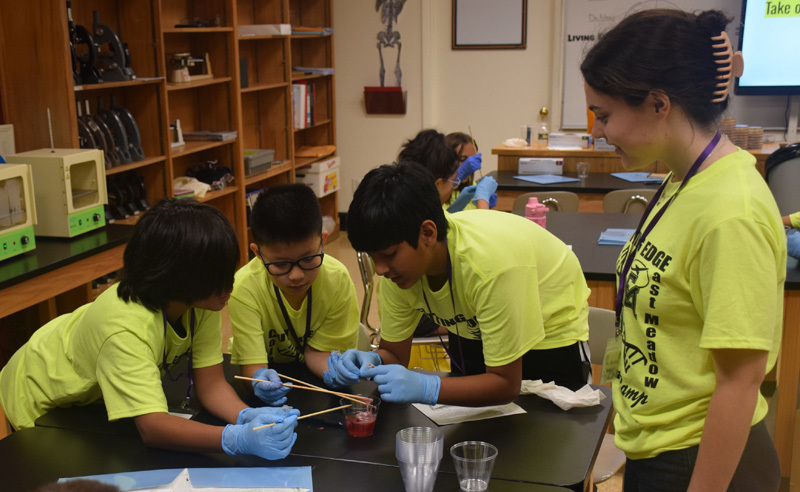 students in classroom in yellow shirts