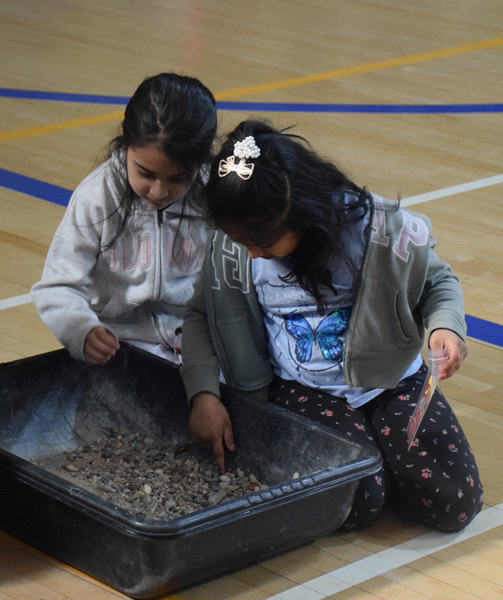 Fossils and dinosaur replicas are displayed on a table, with a projection screen showing related images in the background, suggesting an educational setting focused on paleontology.