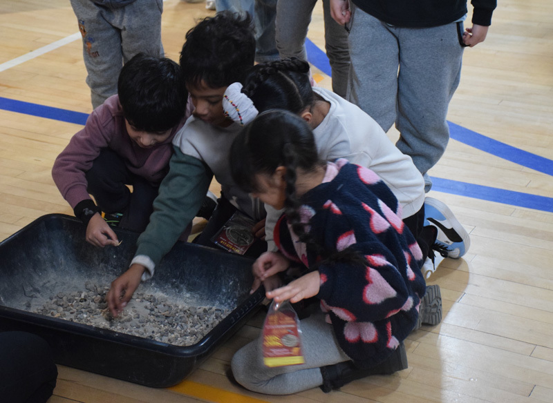 Fossils and dinosaur replicas are displayed on a table, with a projection screen showing related images in the background, suggesting an educational setting focused on paleontology.