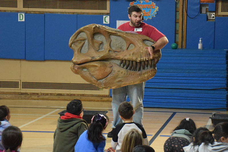 Fossils and dinosaur replicas are displayed on a table, with a projection screen showing related images in the background, suggesting an educational setting focused on paleontology.