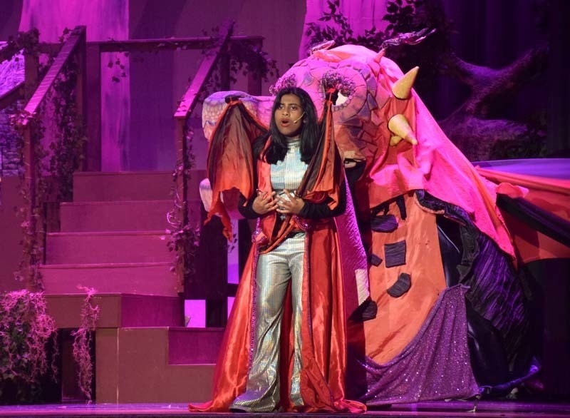 W.T. Clarke Middle School proudly presented its production of “Shrek Jr.” on April 24 and April 25 in the East Meadow School District. 