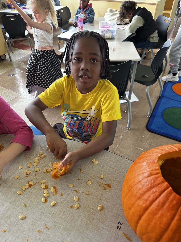Kindergarten students in Mrs. Farren’s class explore the inside of pumpkins, scooping out seeds and pulp during a hands-on fall learning activity.