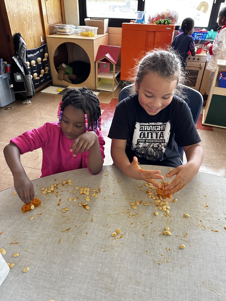 Kindergarten students in Mrs. Farren’s class explore the inside of pumpkins, scooping out seeds and pulp during a hands-on fall learning activity.