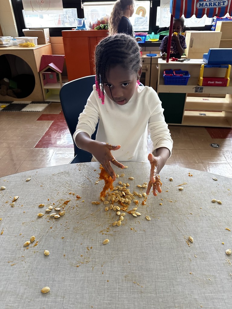 Kindergarten students in Mrs. Farren’s class explore the inside of pumpkins, scooping out seeds and pulp during a hands-on fall learning activity.