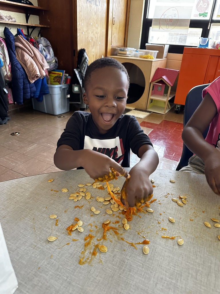 Kindergarten students in Mrs. Farren’s class explore the inside of pumpkins, scooping out seeds and pulp during a hands-on fall learning activity.