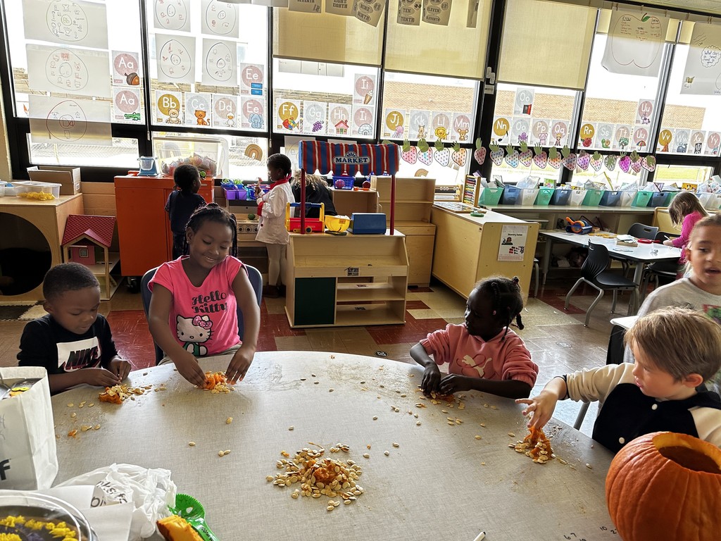 Kindergarten students in Mrs. Farren’s class explore the inside of pumpkins, scooping out seeds and pulp during a hands-on fall learning activity.
