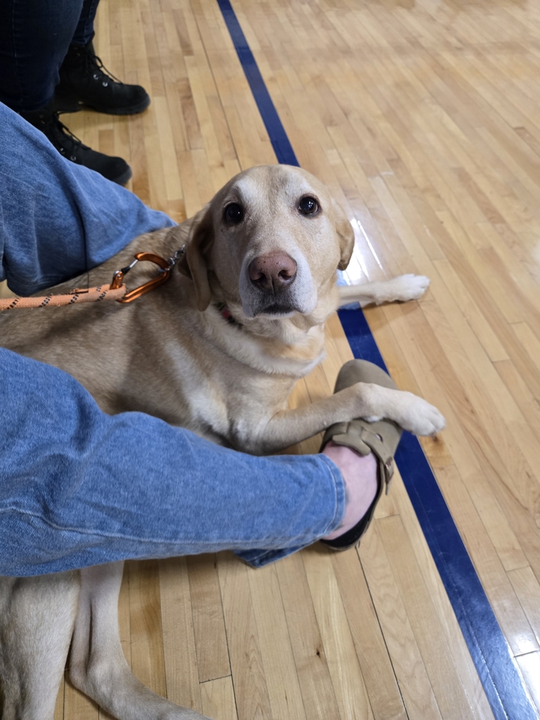 Aspen waiting to be announced