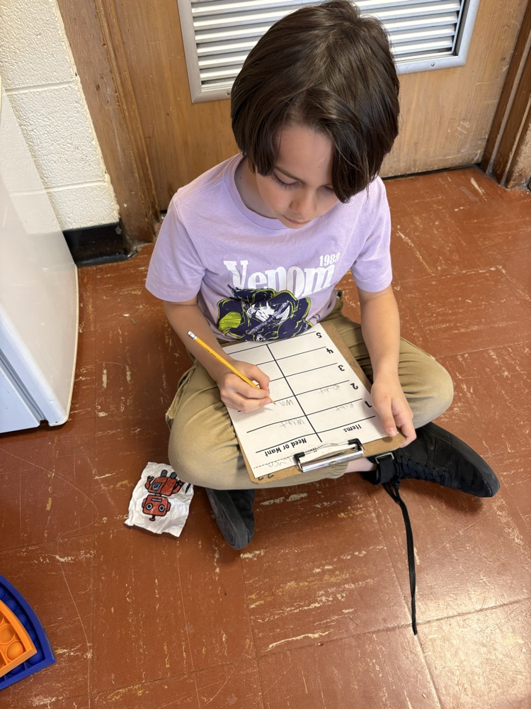 needs and wants activity