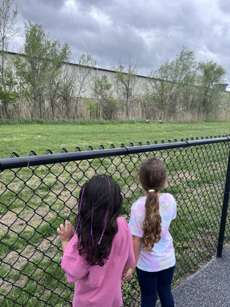 Nature Experiences