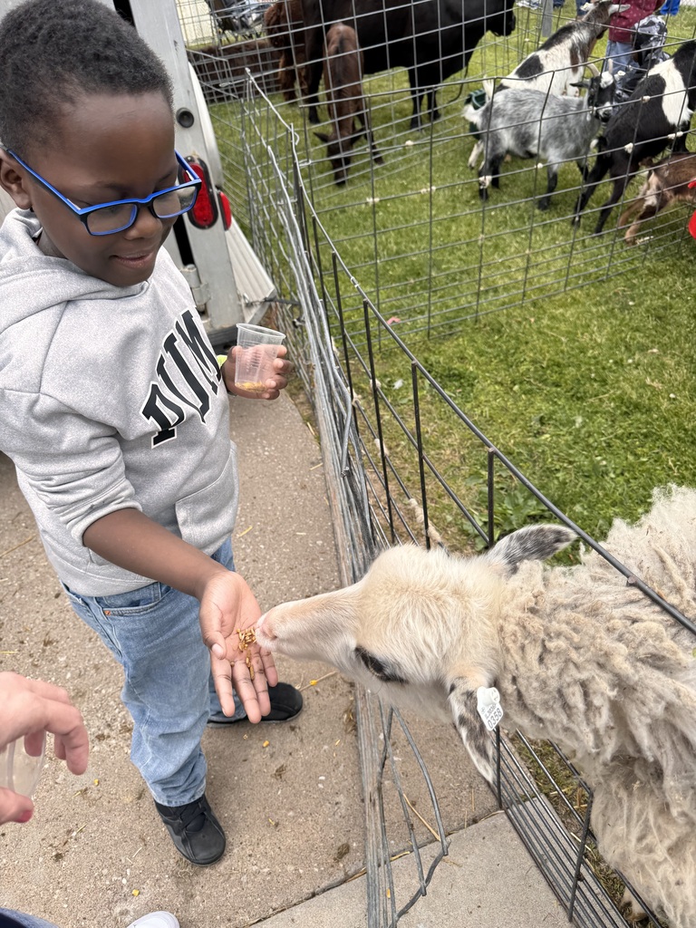 Student feeding petting zoo animal
