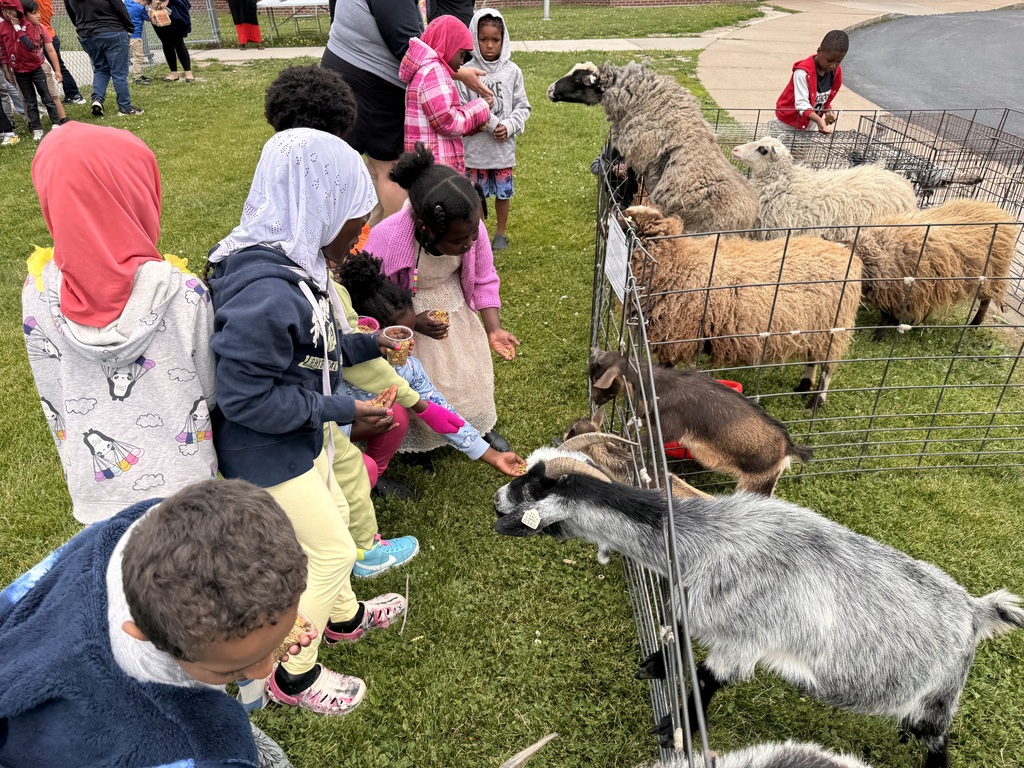 Several students feeding animals