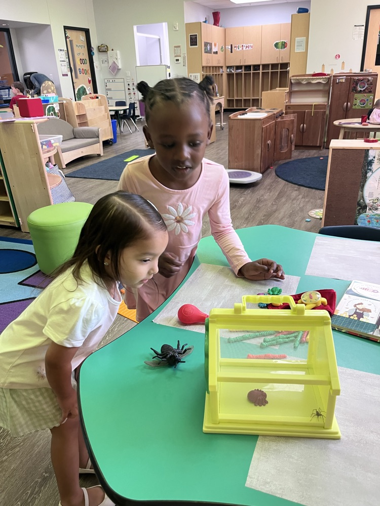 Spider fun!