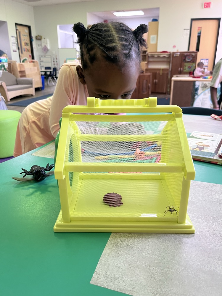 Spider fun!