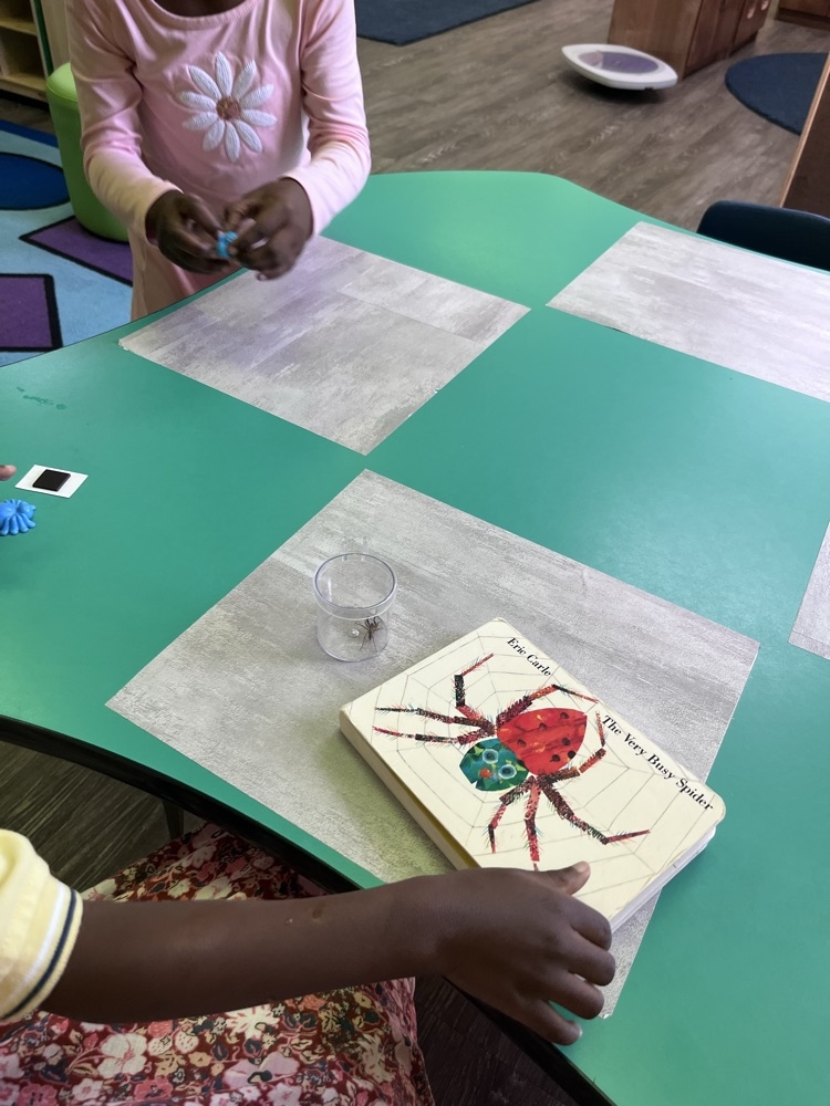 Spider fun!