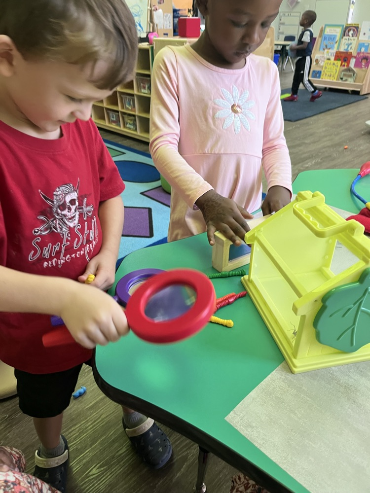 Spider fun!