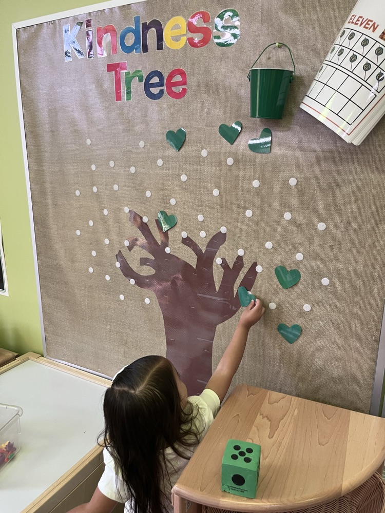 Student placing a leaf on kindness tree