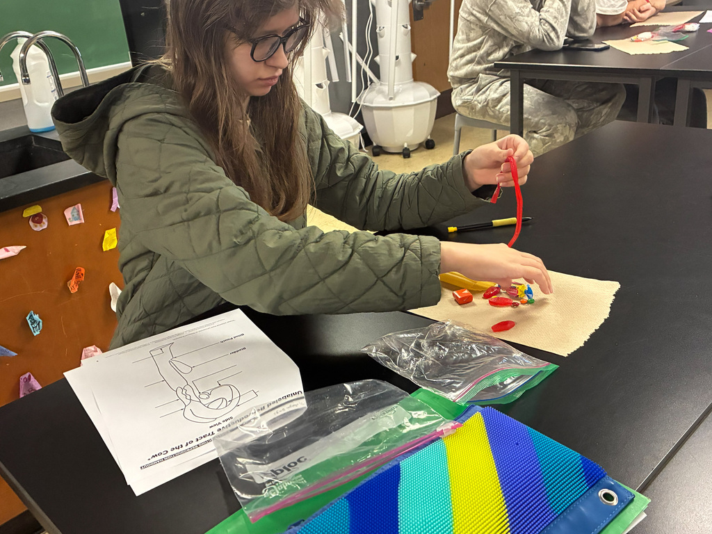 ENHS-Animal-Science-Class-9