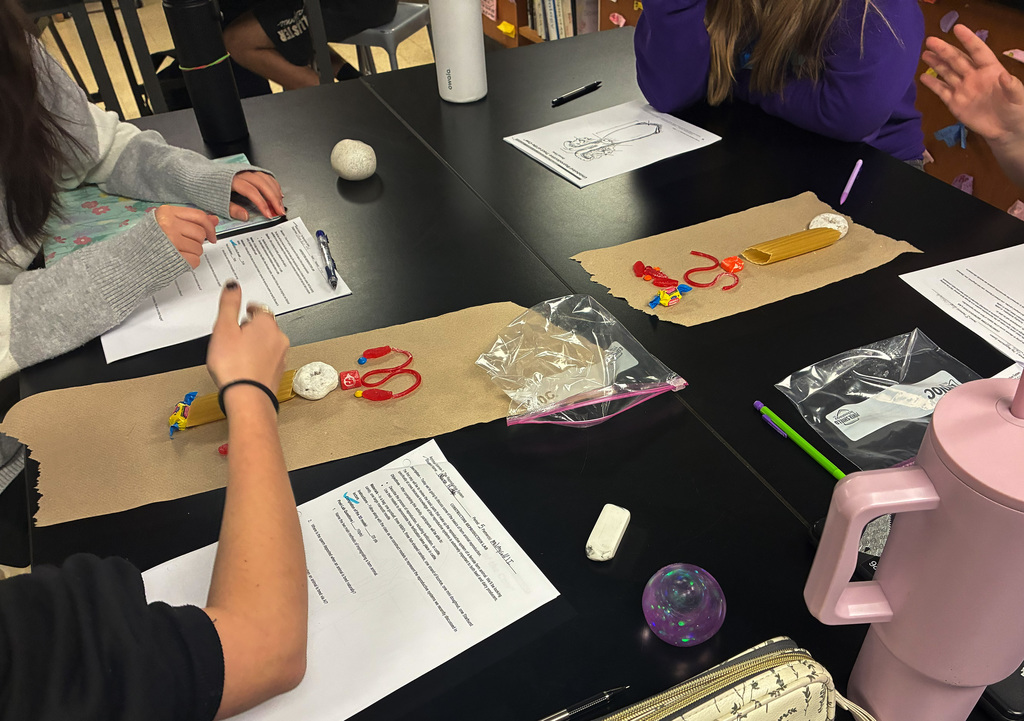 ENHS-Animal-Science-Class-8